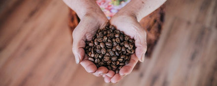 Dureté ou densité du café
