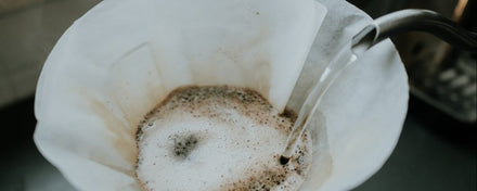 Qualité d'eau idéale pour le café