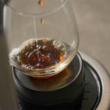 Sage Precision Brewer Glass - machine à café à filtre